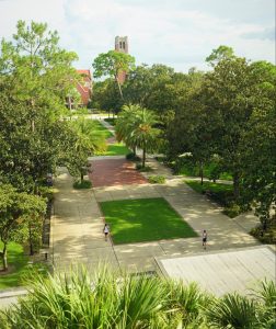 View out of the fourth story window of a paved plaza surrounded by palm trees and oak trees. In the distance is Century Tower, a tall brick bell tower.