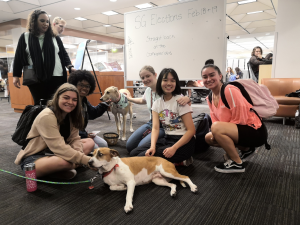 A group of students kneeling and petting two dogs