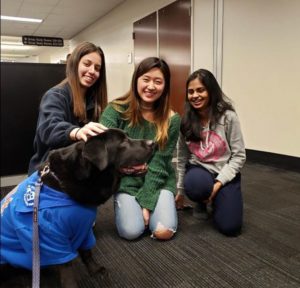 Three students kneeling next to a black dog. The dog is on a leash and is wearing a blue UF t-shirt.