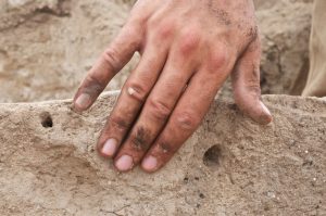 Close-up of hand in front of sediment with hole