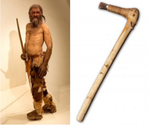 Recreated Neolithic hunter model posed with a weapon and animal-hide pants