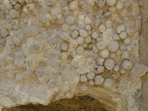 Beige-brown clay balls clumped together