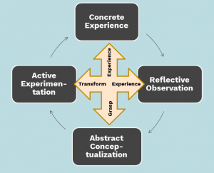 Four stages of a learning cycle