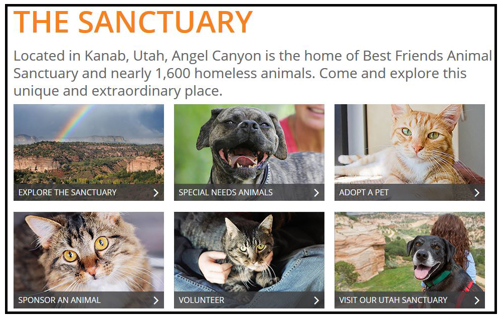 Best Friends Animal Society webpage