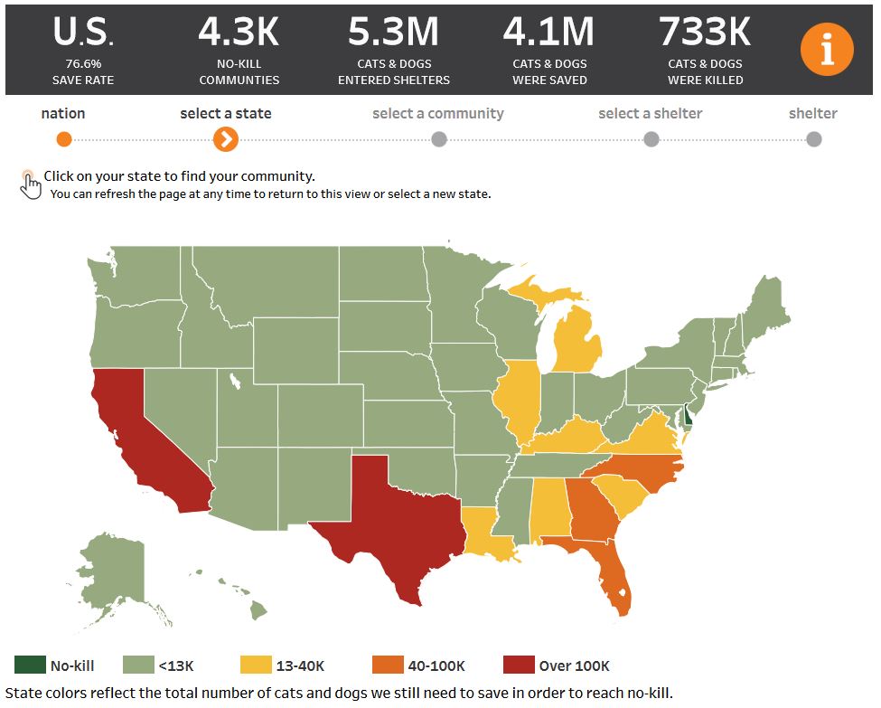 Map of US shelter statistics