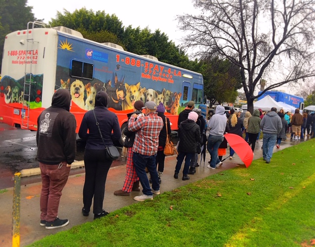 Pet owners lined up outside of mobile spay-neuter vehicles.