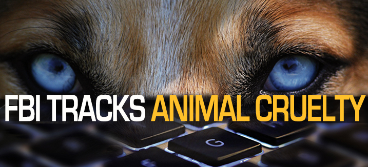 FBI Tracks Animal Cruelty logo overlaid on a dog face