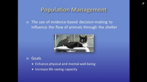Population Management Video Slide 1