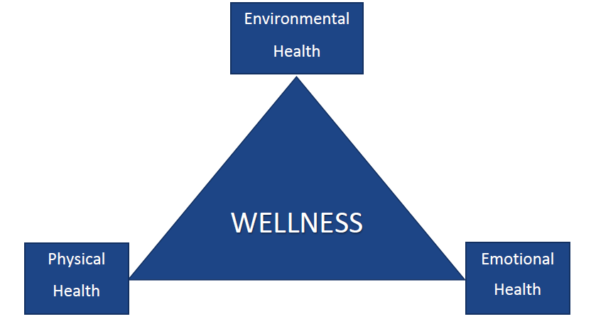 diagram illustrating that wellness relies on physical, environmental, and emotional health