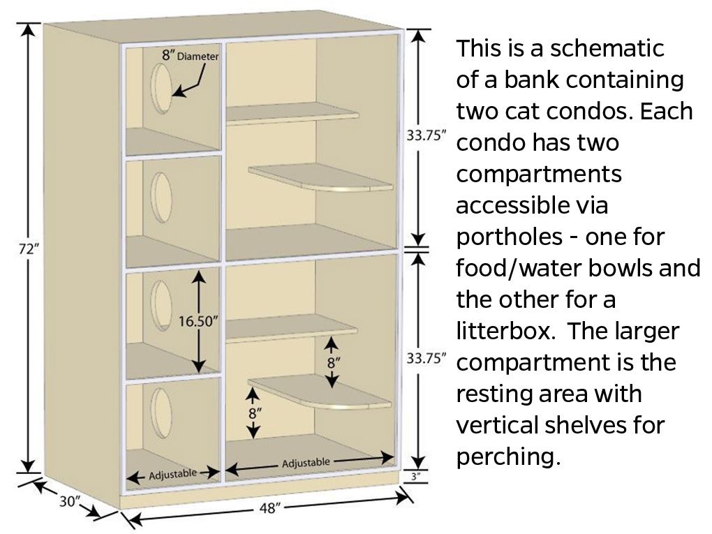 This is a schematic of a bank containing two cat condos. Each condo has two compartments accessible via portholes - one for food/water bowls and the other for a litterbox. The larger compartment is the resting area with vertical shelves for perching.