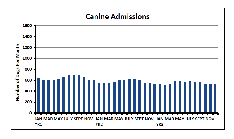 Graph depicting the number of dogs admitted each month for a 3-year period.