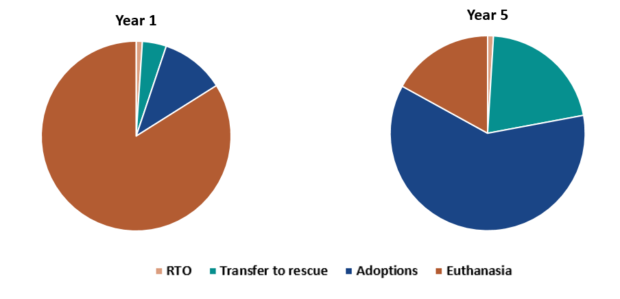 Pie charts showing the proportions of cats returned to owner, transferred to rescue, adopted, and euthanized in Year 1 vs. Year 5.