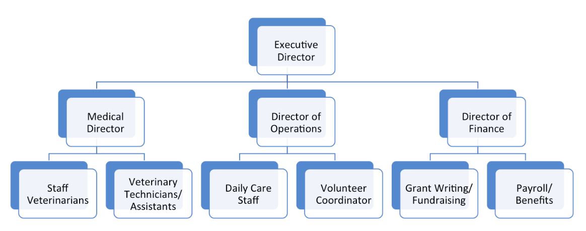 Shelter staff organization chart showing medical director reporting to executive director