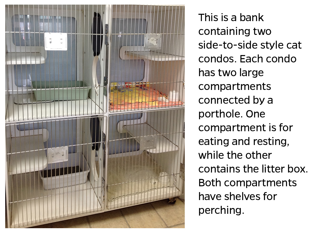 This is a bank containing two side-to-side style cat condos. Each condo has two large compartments connected by a porthole. One compartment is for eating and resting, while the other contains the litter box. Both compartments have shelves for perching
