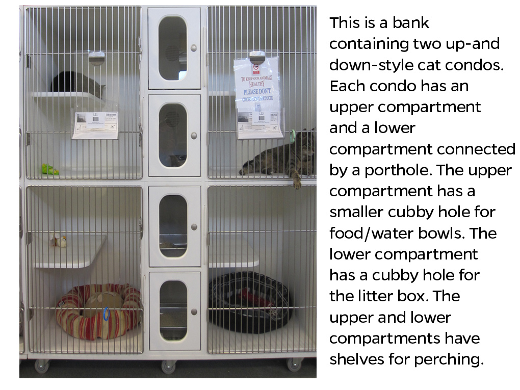 This is a bank containing two up-and down-style cat condos. Each condo has an upper compartment and a lower compartment connected by a porthole. The upper compartment has a smaller cubby hole for food/water bowls. The lower compartment has a cubby hole for the litter box. The upper and lower compartments have shelves for perching.