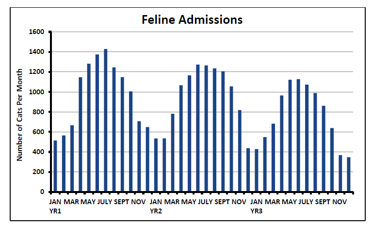 Graph depicting the number of cats admitted each month for a 3-year period.