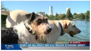 Two dogs stand near a river in Austin with the title, "Study: No Kill policy has $157 million economic impact