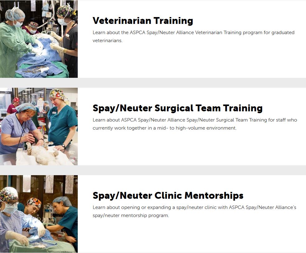 Opportunities to Master SpayNeuter Skills Integrating Veterinary