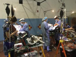 Thumbnail image of veterinary surgeons operating of dogs at the HSUS Rural Animal Veterinary Services clinic