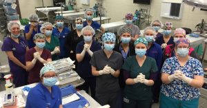 A group of veterinary srudents in caps, masks, and gloves stand ready for surgery.
