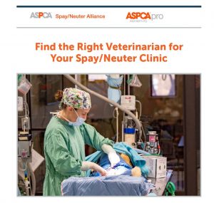 Landing page image for Find the Right Veterinarian for your Spay/Neuter Clinic