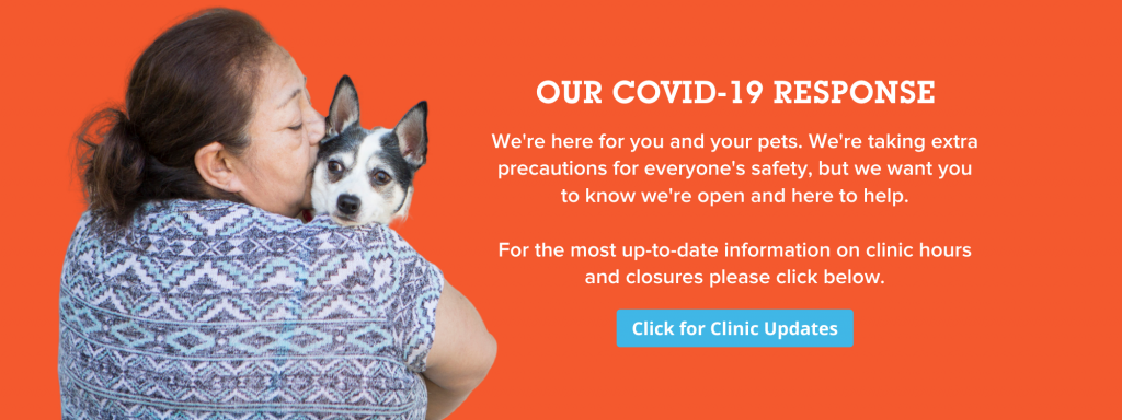 Web banner of spay-neuter clinic COVID procedure