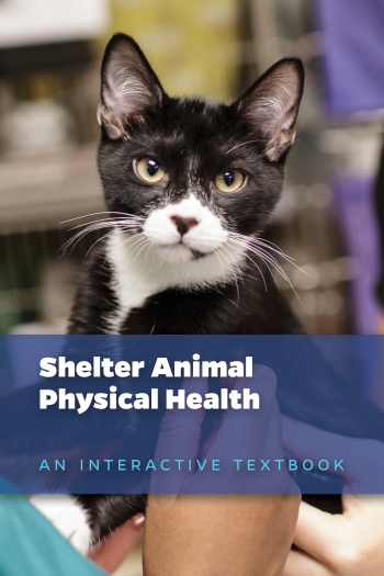 Cover image for Shelter Animal Physical Health