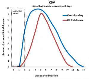Graphic representation of the incubation period, shedding period, and clinical disease period for CDV