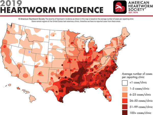 Incidence of canine heartworm infection based on test data from thousands of veterinary clinics and shelters in 2019. The incidence is highest in the southeastern states but cases were detected in all 50 states.