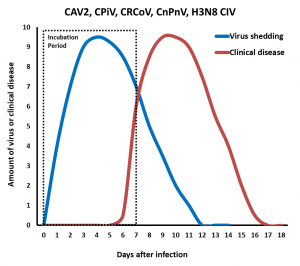 Graphic representation of the incubation period , shedding period, and clinical disease period for CAV2, CPiV, CRCoV, CnPnV, and H3N8 CIV