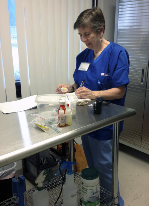 Person reviewing medications needed for treating sick animals in the shelter