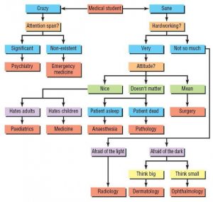 One-page flowchart guiding medical students on selection of a specialty based on personal attributes such as sanity, hardworking, attention span, attitude, affinity for children or adults, and afraid of the dark
