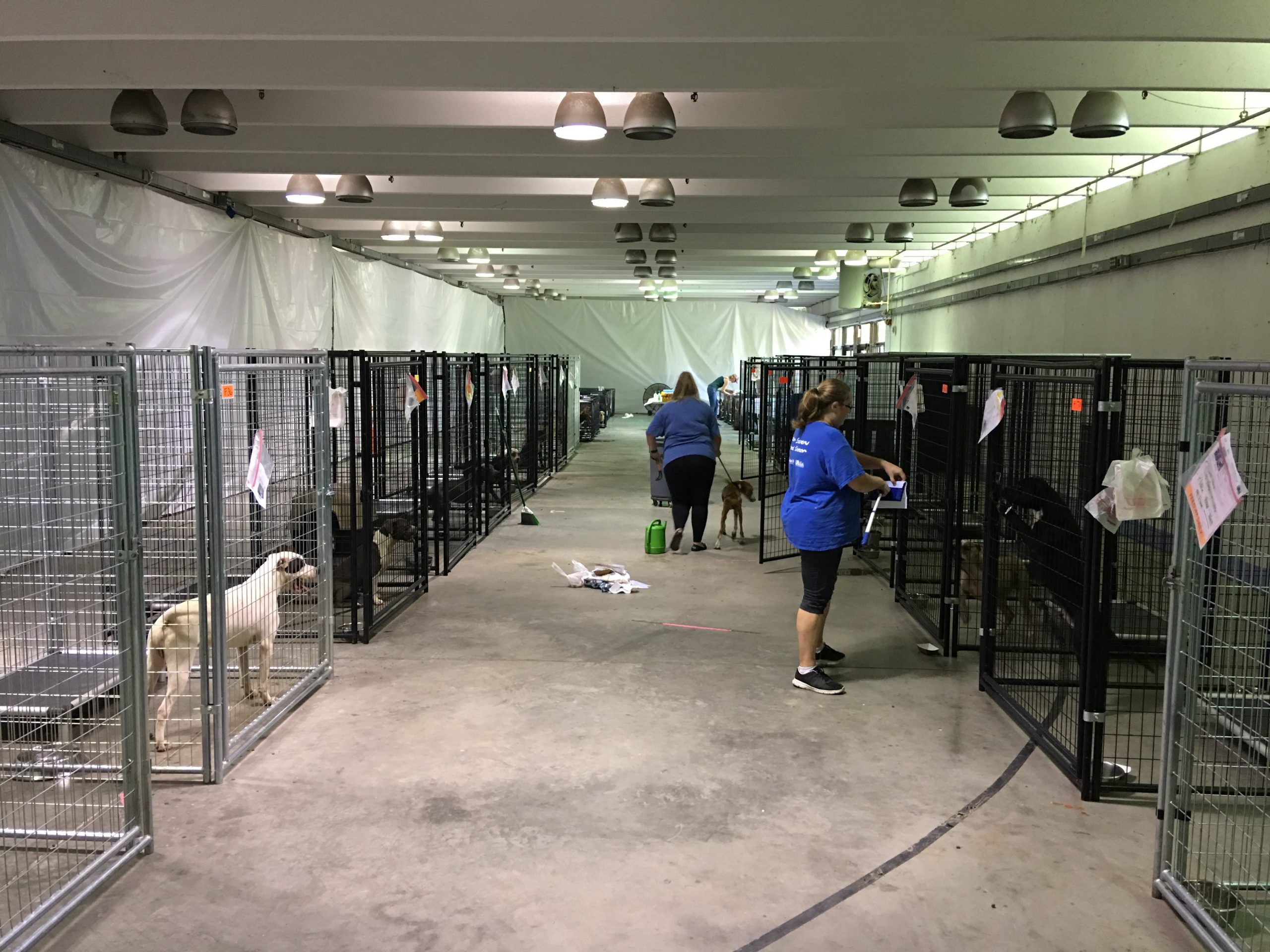 The Sac Rack: Death's Waiting Room for Animals in Labs