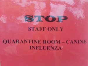 Sign placed on the door of a quarantine room that states “STOP STAFF ONLY QUARANTINE ROOM - CANINE INFLUENZA”