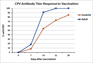 By 2 weeks after DAPP vaccination at intake, 91% of adult dogs and 54% of puppies had developed CPV PAT. All of the adult dogs and most (73%) of the puppies had CPV PAT by 4 weeks after vaccination.