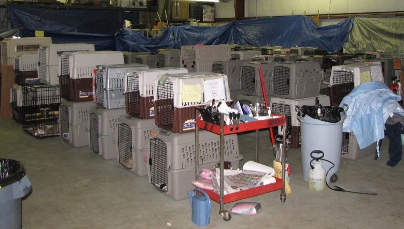 Multiple rows of about 16 stacked plastic crates set up in a warehouse. Each puppy has a top and bottom crate stacked on top of each other.