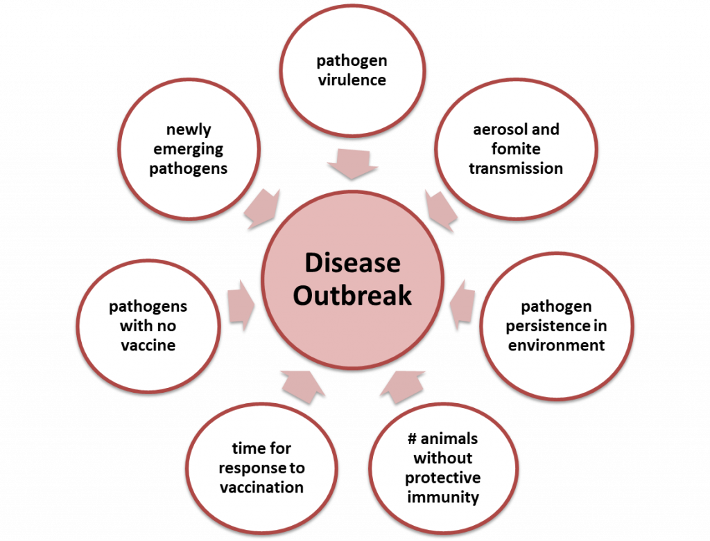 Risk Factors for Disease Outbreaks Shelter Animal Physical Health