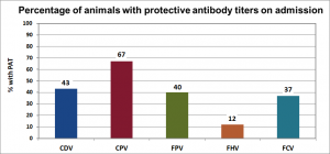 Less than half of dogs and cats entering Florida shelters had protective antibody titers to CDV (43%), FPV (40%), FHV (12%), and FCV (37%).