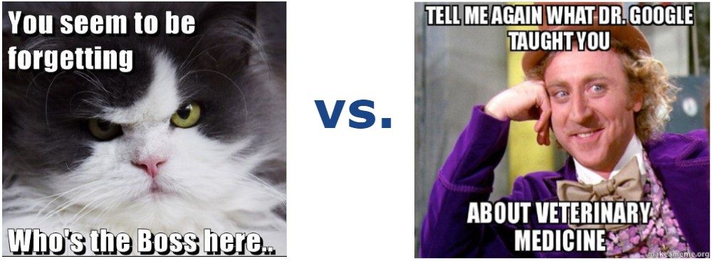 Meme with fierce-looking cat saying “you seem to be forgetting who’s the boss here” vs. Meme with the Willy Wonka character saying “tell me again what Dr. Google taught you about veterinary medicine”