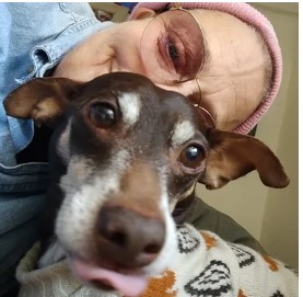 Peter Chocolate the dachshund with his human mom
