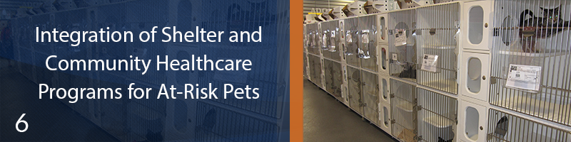 Module 6: Integration of Shelter and Community Healthcare Programs for At-Risk Pets