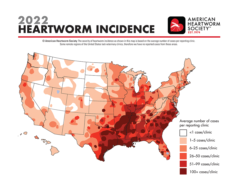 Incidence of canine heartworm infection based on test data from thousands of veterinary clinics and shelters in 2022. The incidence is highest in the southeastern states but cases were detected in all 50 states.