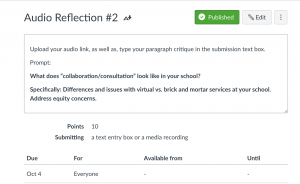 Reflection Instructions in Canvas